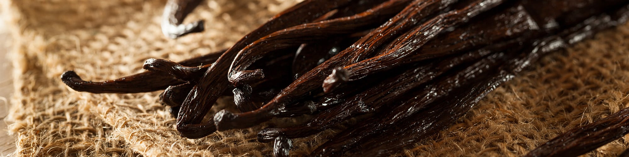 Frequently Asked Questions, FAQ's, Lochhead Vanilla